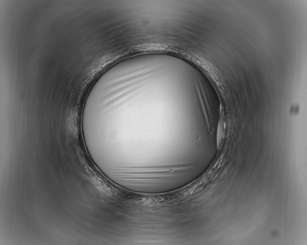 X0000100210345200806131257