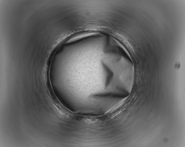 X0000100210346200806131257