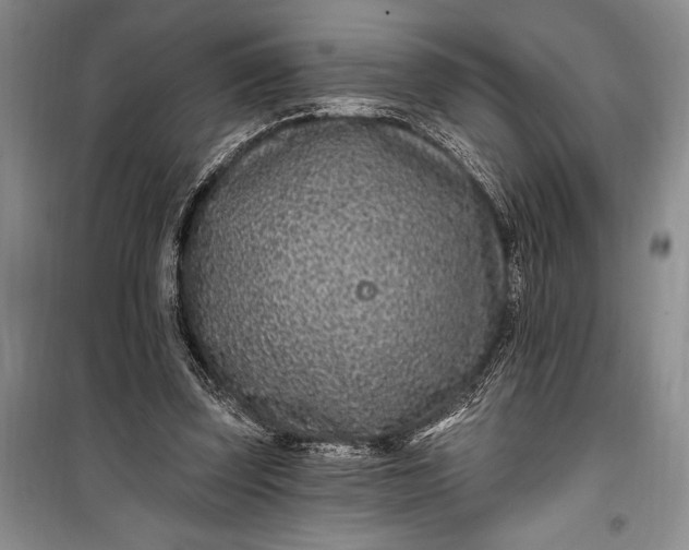 X0000100210347200806131257