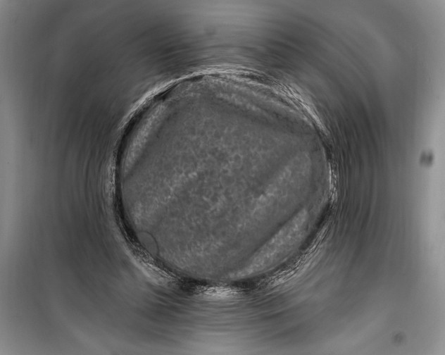 X0000100210348200806131257