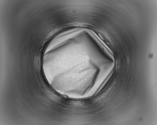 X0000100210349200806131257