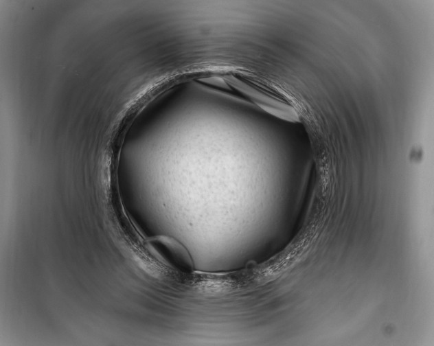 X0000100210350200806131257