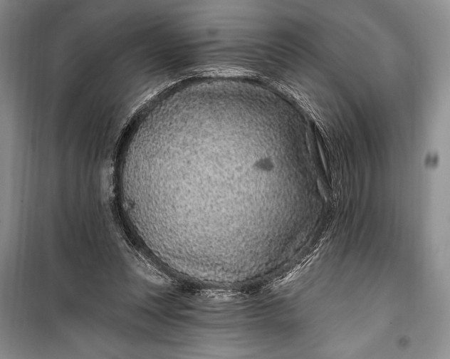 X0000100210351200806131257