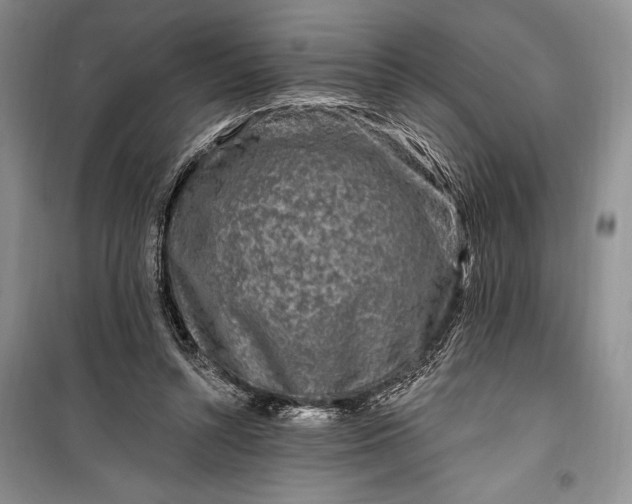 X0000100210352200806131257