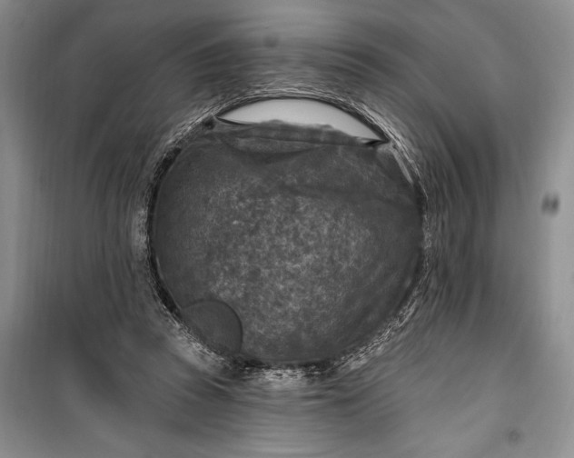 X0000100210353200806131257