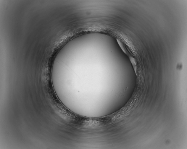 X0000100210354200806131257