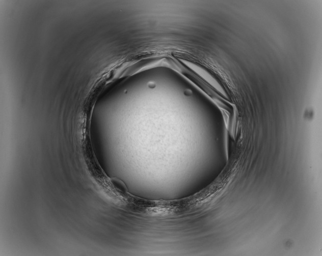 X0000100210356200806131257