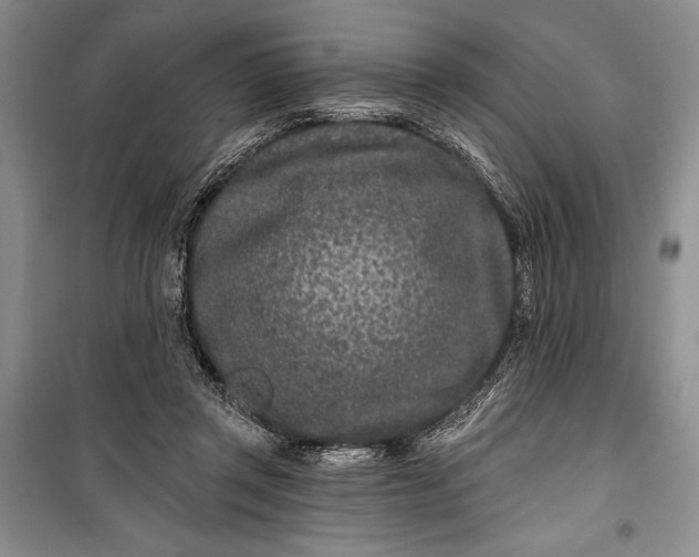 X0000100210357200806131257