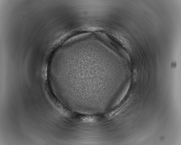 X0000100210358200806131257