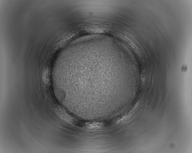 X0000100210359200806131257