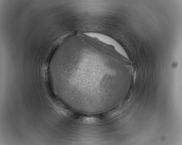 X0000100210360200806131257