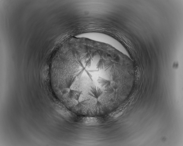 X0000100210361200806131257