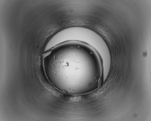 X0000100210362200806131257