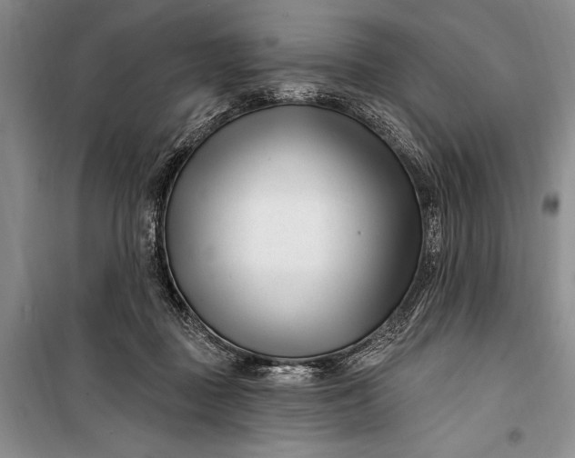 X0000100210363200806131257