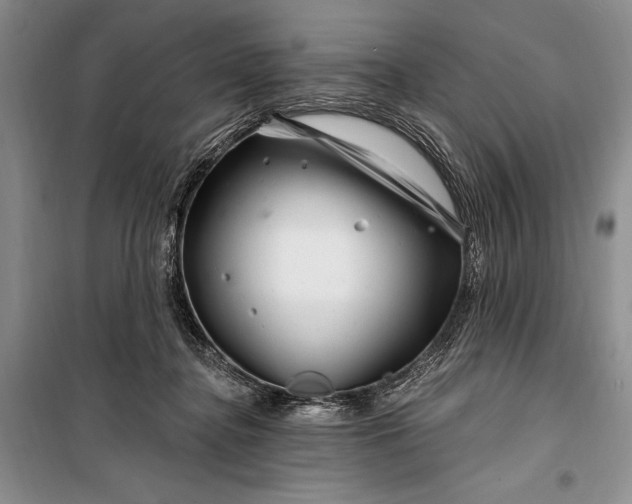 X0000100210364200806131257