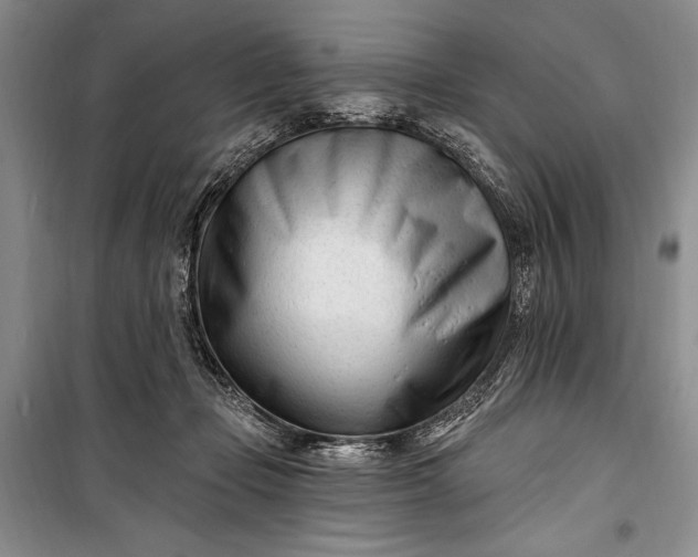 X0000100210365200806131257