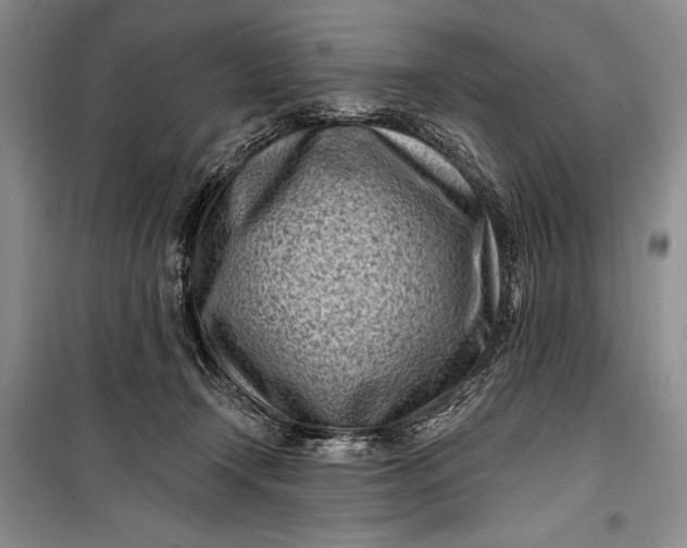 X0000100210366200806131257