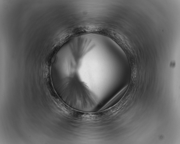 X0000100210367200806131257