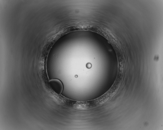 X0000100210368200806131257