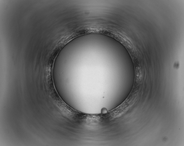 X0000100210369200806131257