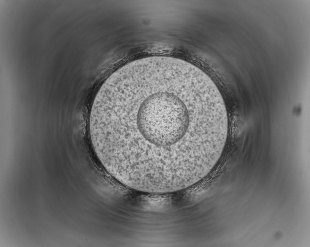 X0000100210370200806131257