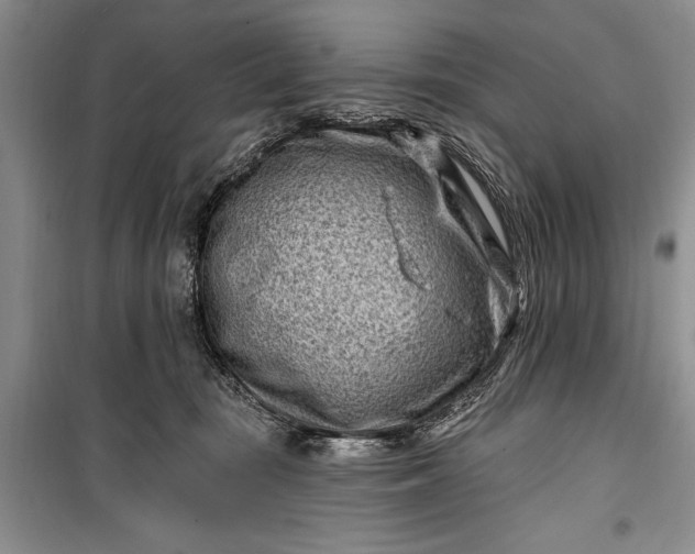 X0000100210371200806131257