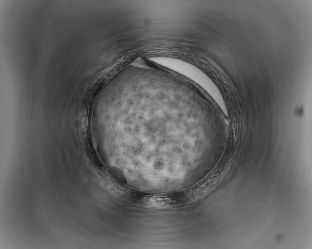 X0000100210372200806131257