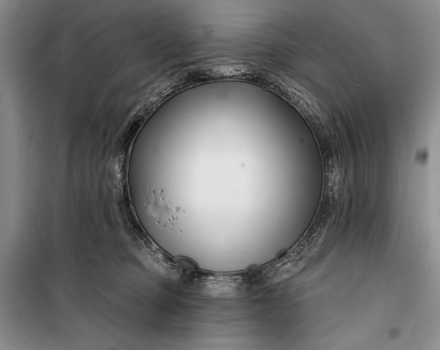 X0000100210373200806131257