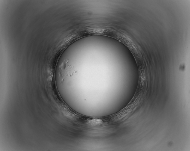 X0000100210374200806131257