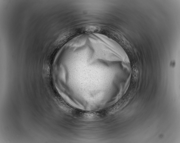 X0000100210375200806131257