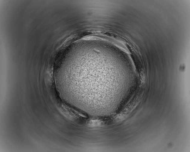 X0000100210376200806131257