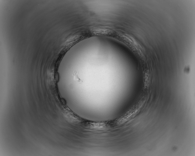 X0000100210377200806131257