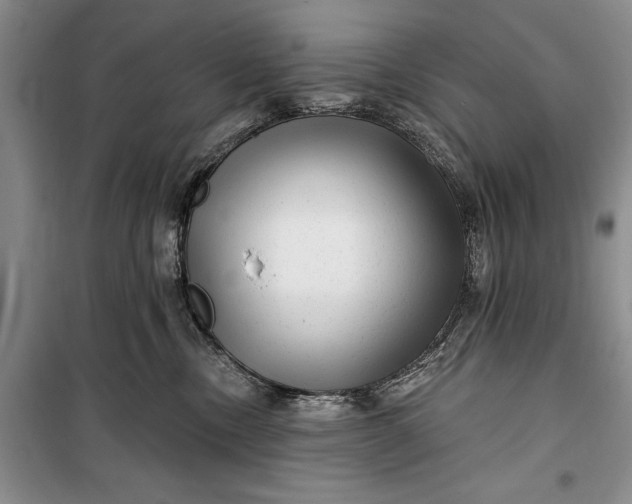 X0000100210378200806131257