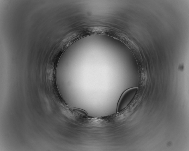 X0000100210379200806131257