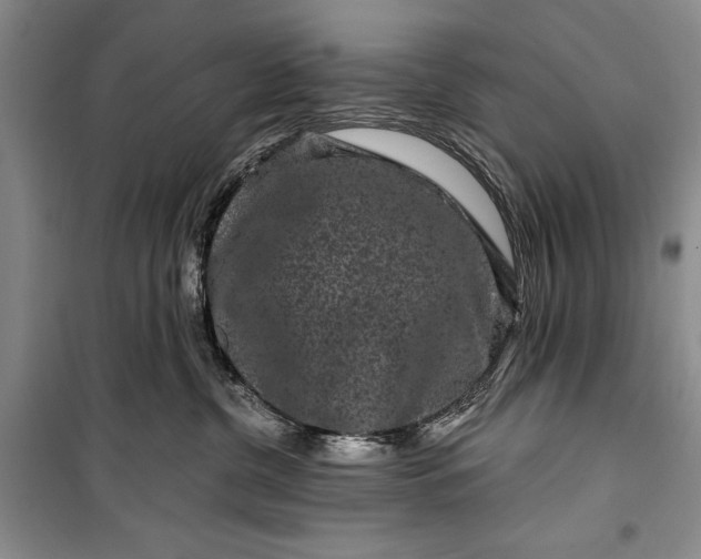 X0000100210380200806131257