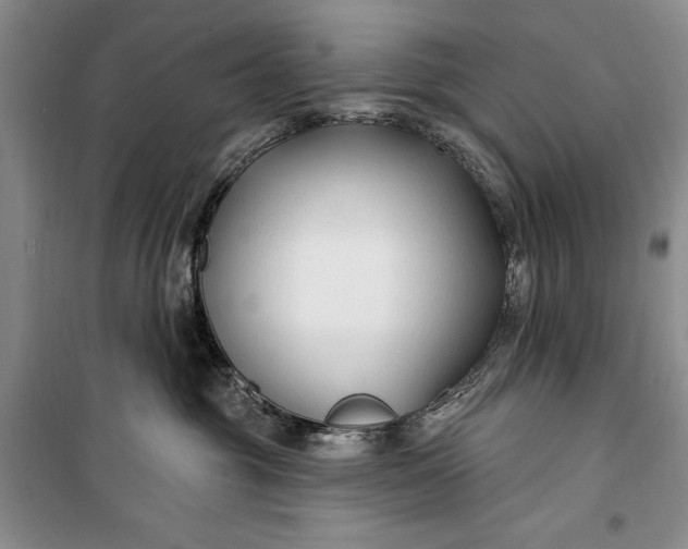 X0000100210381200806131257