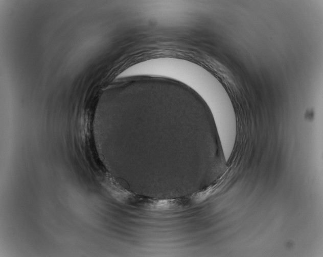 X0000100210382200806131257