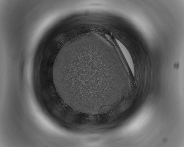 X0000100210383200806131257