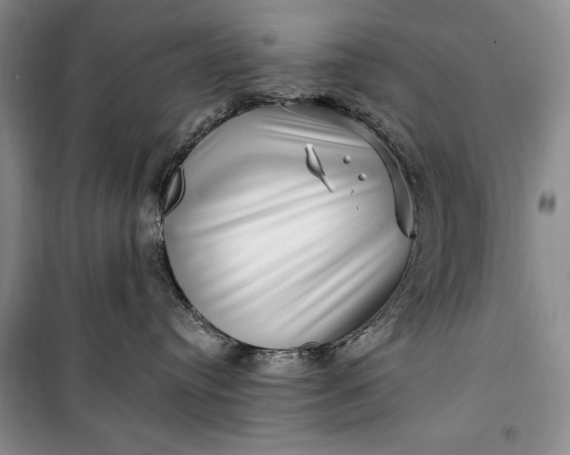 X0000100210384200806131257