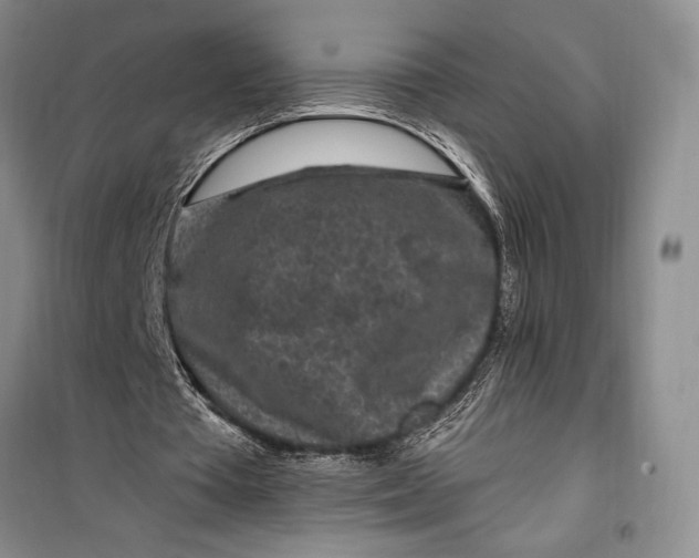 X0000100210385200806131257