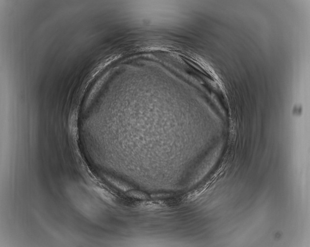 X0000100210386200806131257