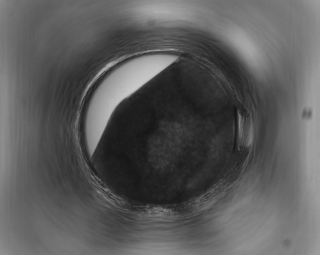 X0000100210387200806131257