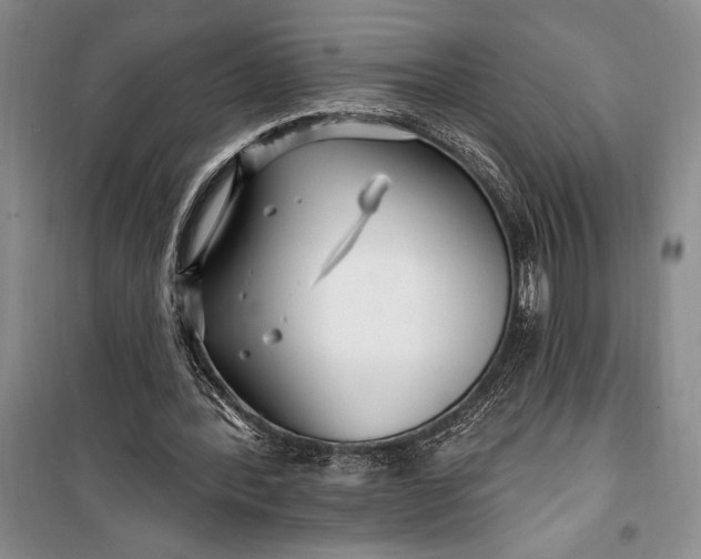 X0000100210388200806131257