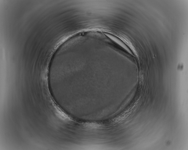 X0000100210389200806131257