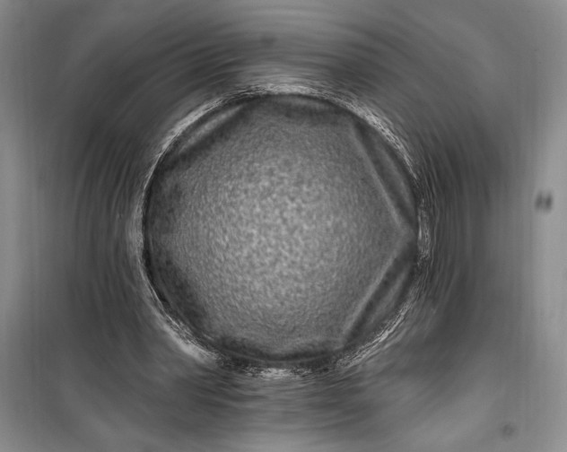 X0000100210390200806131256