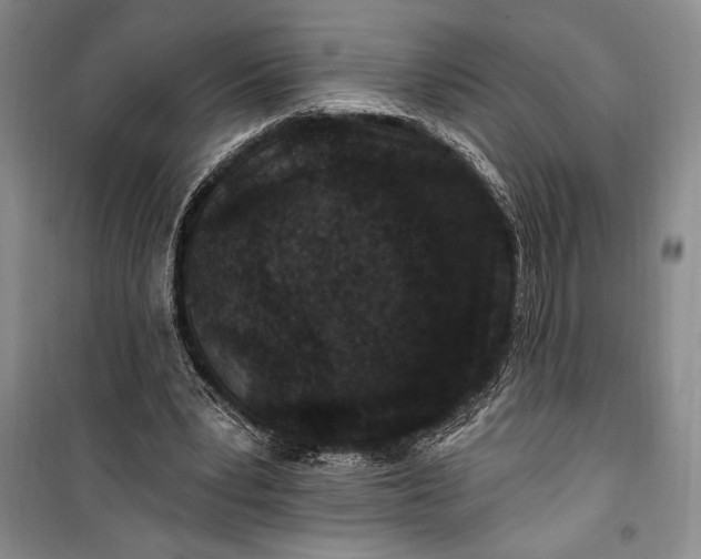 X0000100210391200806131256