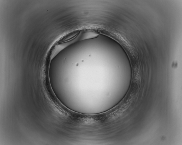 X0000100210392200806131256