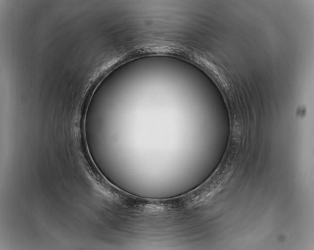 X0000100210394200806131256