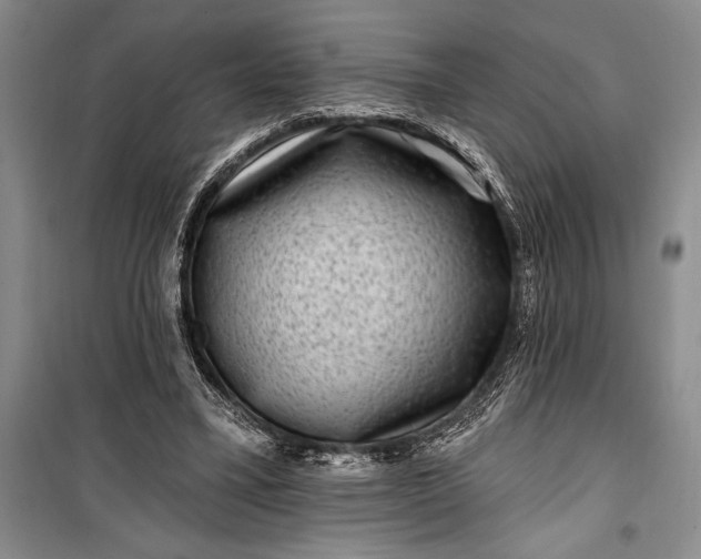 X0000100210395200806131256