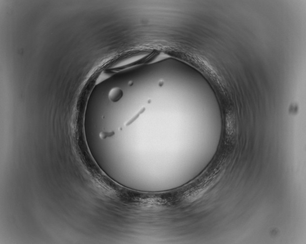 X0000100210396200806131256